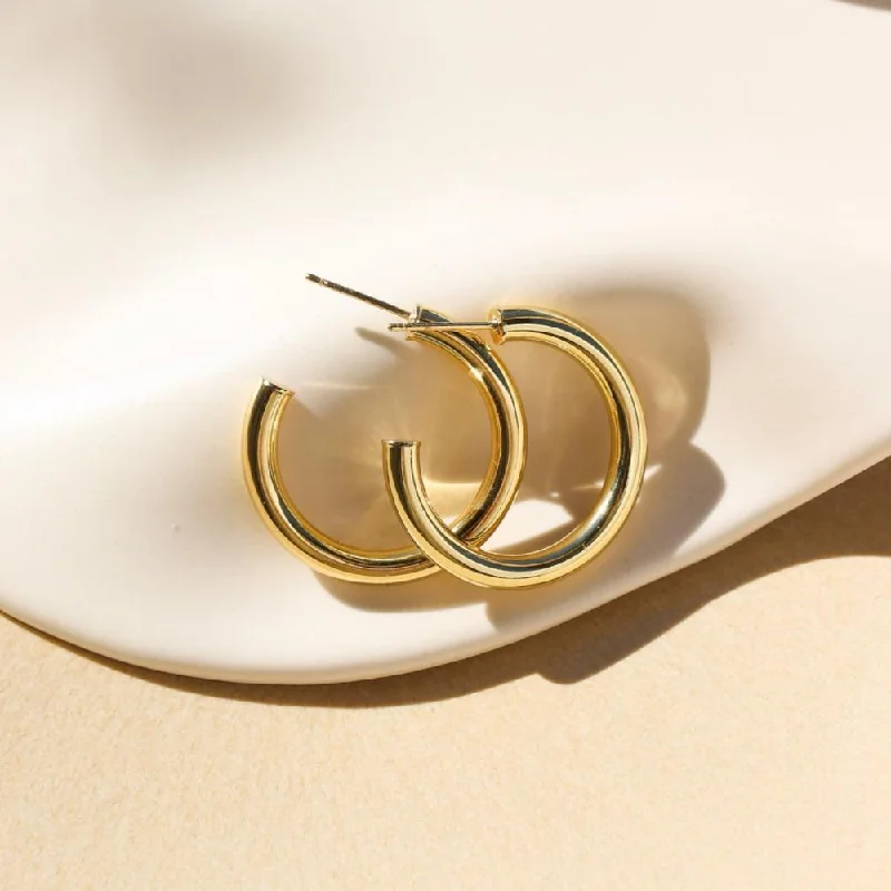 Limited - Time Offer Platinum Necklace Harper Hoops