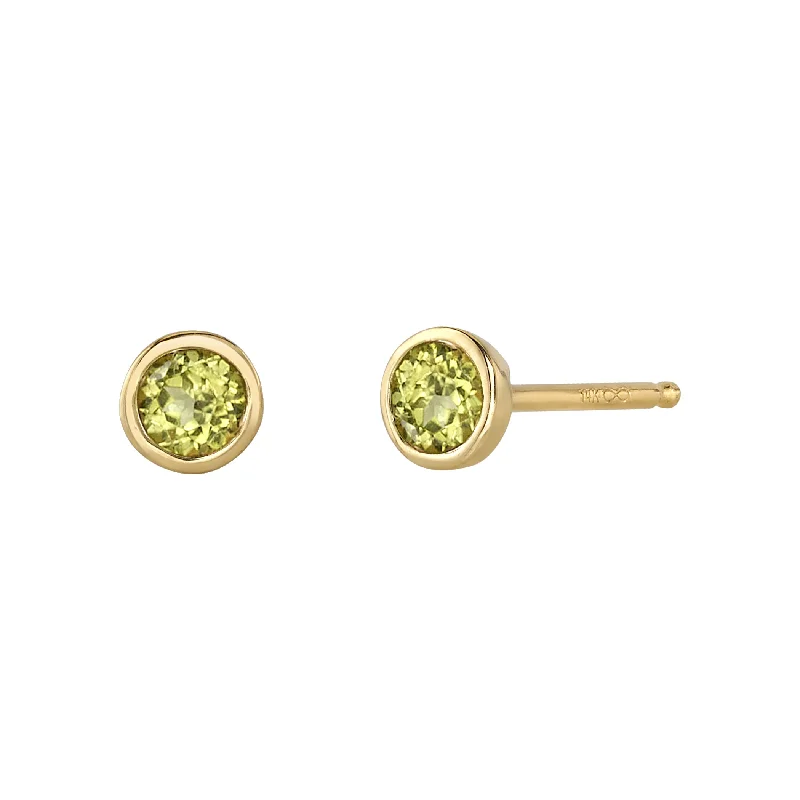 Season - End Clearance Elegant Pendant BIRTHSTONE EARRINGS