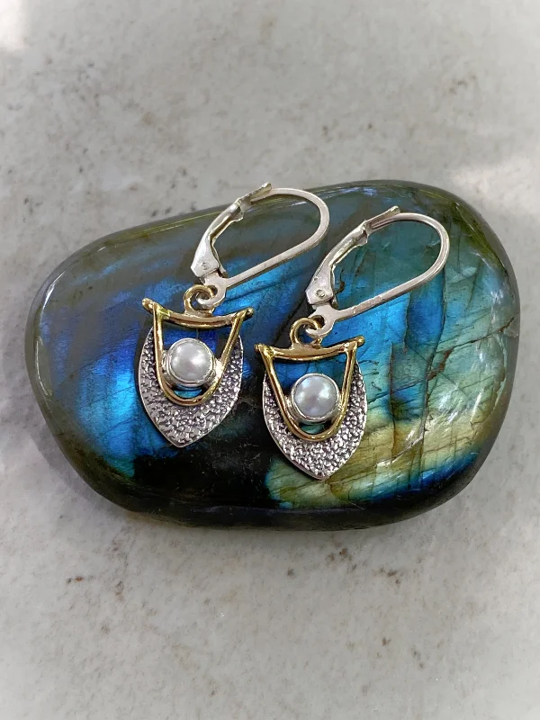 Clearance Sale, Steal Great Bargains Trendy Earrings Petite Gemstone Shield Dangles