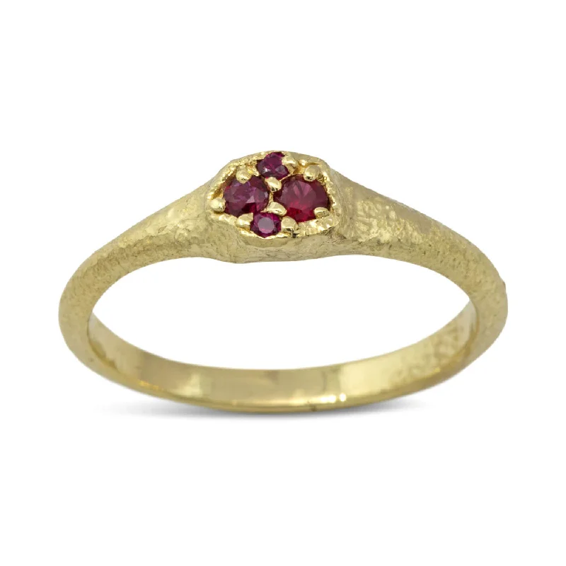 Don't Miss Your Chance Trendy Necklace Dew Pond Ruby Signet Ring in 18k gold