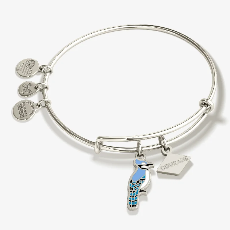Clearance Sale Beaded Necklace 'Courage' Blue Jay Duo Charm Bangle Bracelet