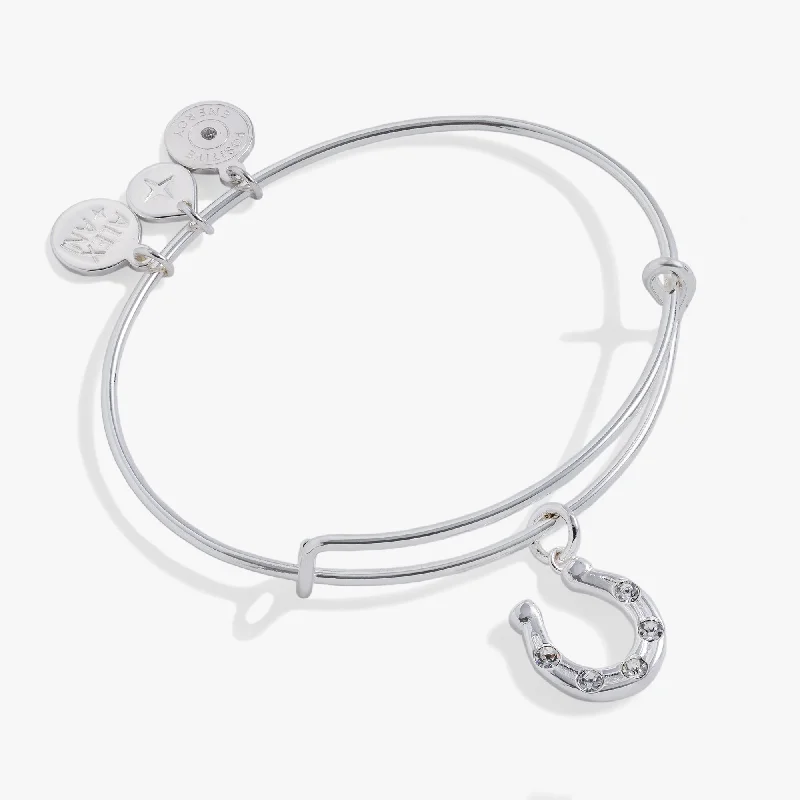 Don't Miss Your Chance Fashionable Earrings Horseshoe Charm Bangle
