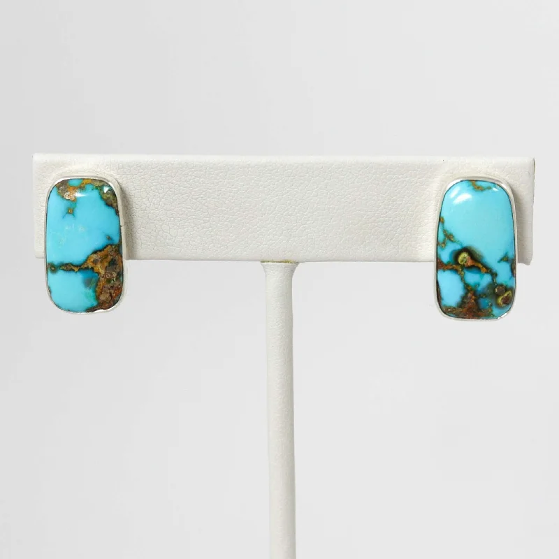 Huge Discounts, Unbeatable Offers Stylish Bracelet Ithaca Peak Turquoise Earrings