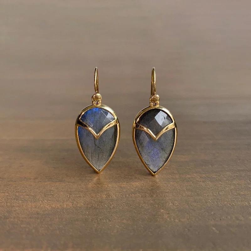 Big Savings, Big Smiles Sapphire Pendant Labradorite Owl Earrings