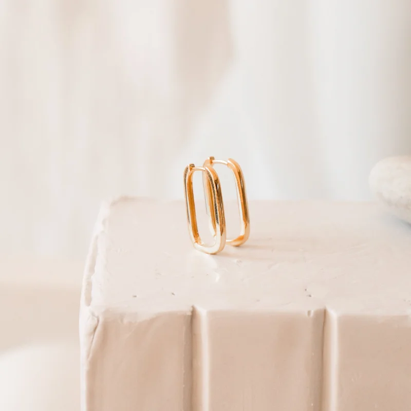 Unbeatable Savings Await Dainty Necklace Nina Link Earrings