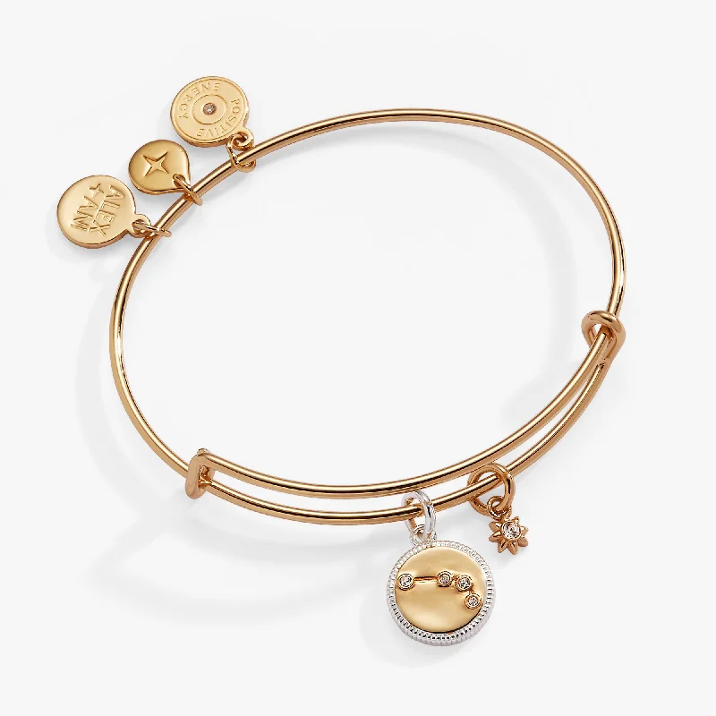Season - End Clearance Bold Statement Necklace Aries Zodiac Charm Bangle