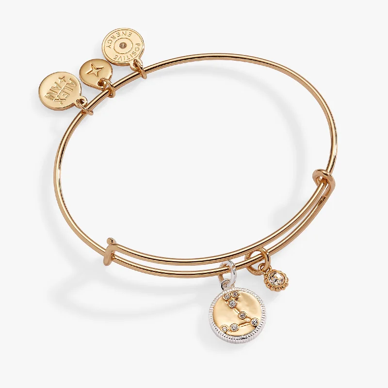 Exclusive Members - Only Sale Square Cut Ring Pisces Zodiac Charm Bangle