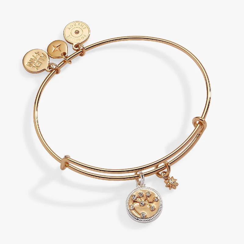 Buy More, Save More Sapphire Pendant Sagittarius Zodiac Charm Bangle